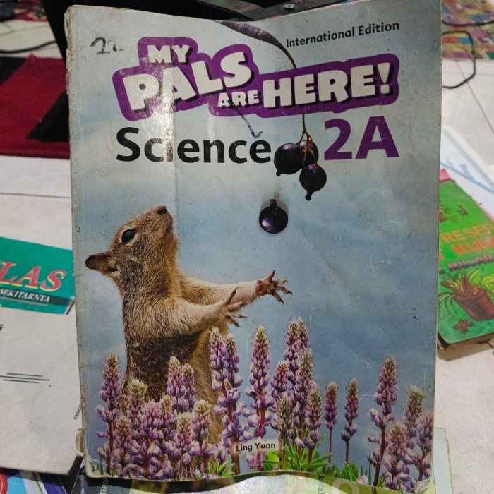 MY PALS ARE HERE SCIENCE