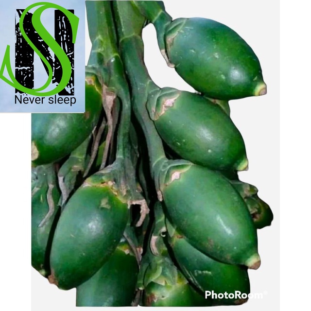 

Pinang muda Jambe Muda Herbal 500 gram Buah Segar COD