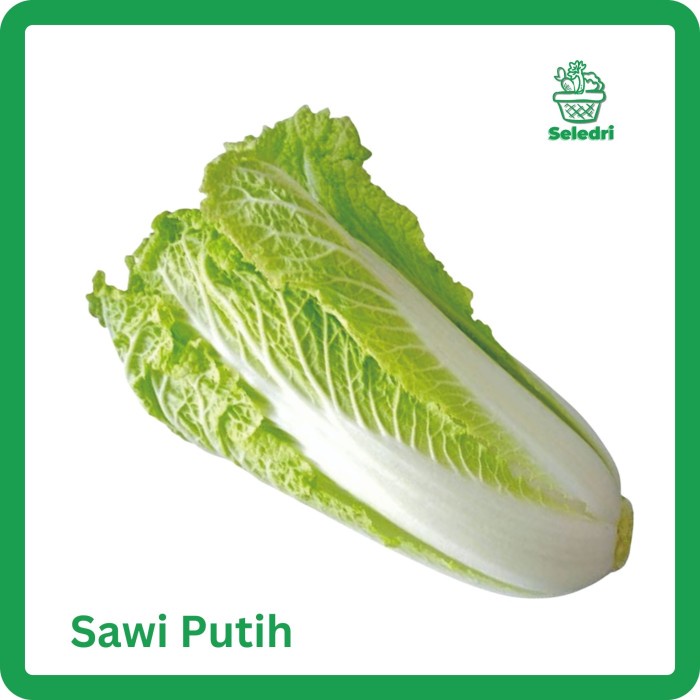 

Sayur Sawi Putih Segar Bogor