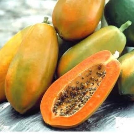 

BUAH PEPAYA TAIWAN 1 pcs SEGAR FRESH