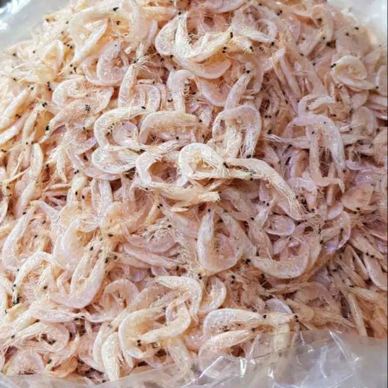 

Udang Rebon