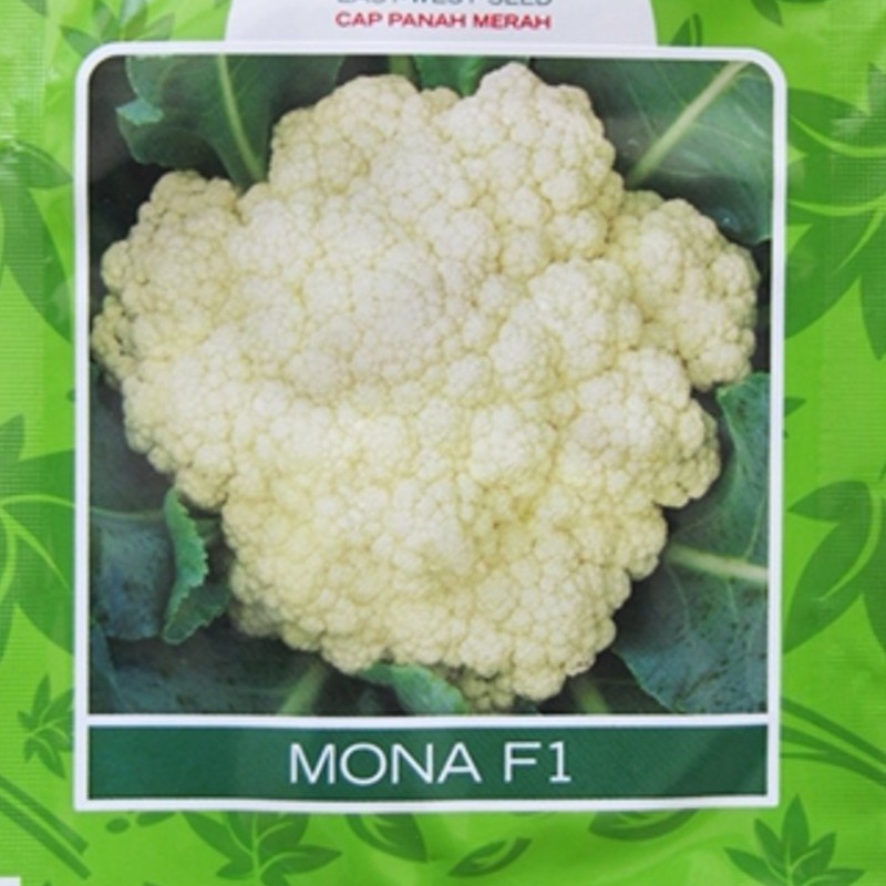 Benih CAULIFLOWER (isi-5) Mona Biji Bibit Sayur Kembang Kol F1
