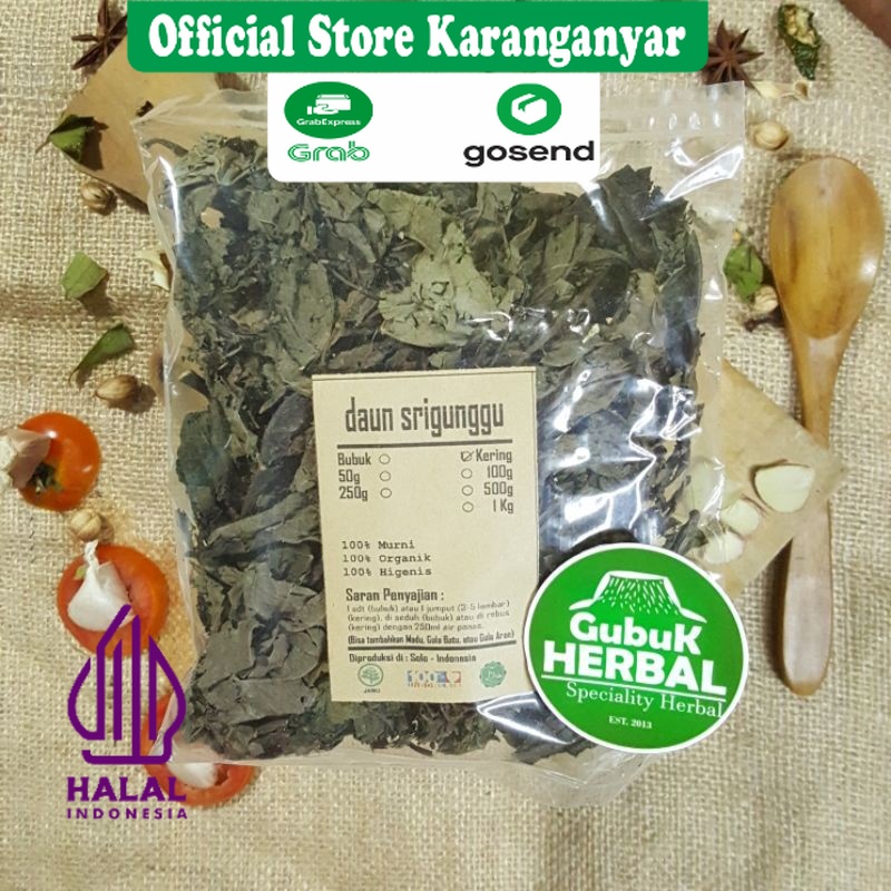 

DAUN SRIGUNGGU SENGGUGU KERING 1 KG / Clerodendron Serratum / JAMINAN MURNI / DIPETIK DARI TUMBUHAN SEGAR & DIKERINGKAN DI TEMPAT BERSIH