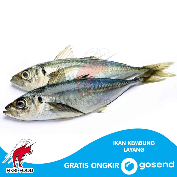 

Ikan Kembung Layang Segar