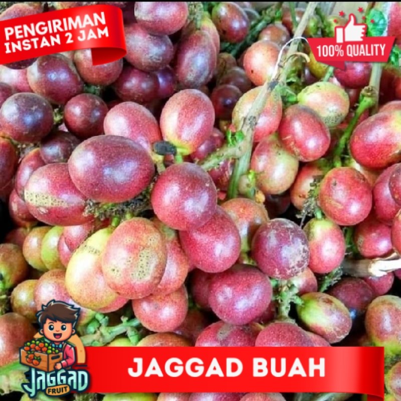 

buah matoa segar fres 3 rasa kemasan 1kg JAGGAD FRUIT