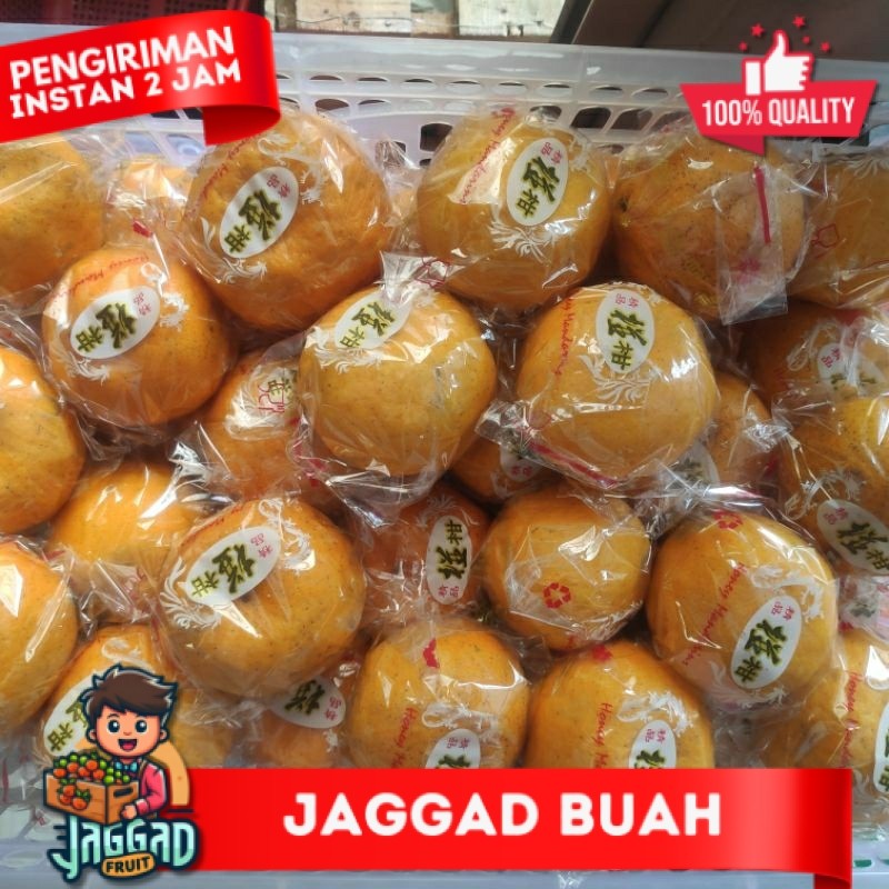 

jeruk ponkam 1 dus medium 8 kg JAGGAD FRUIT