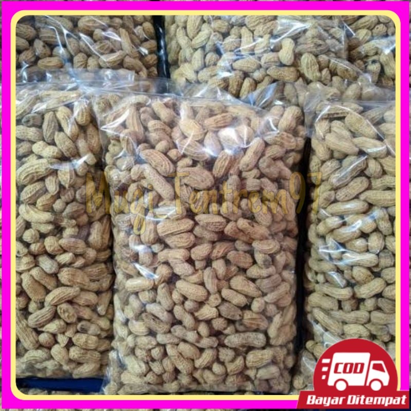 

1Kg Kacang Kulit Sangrai Madura Camilan Kacang sangrai Camilan Kacang Oven Kacang Di Sangrai