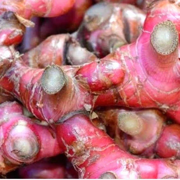 

Jahe Merah - 1/4 kg