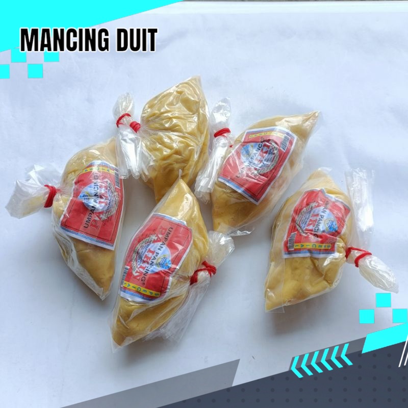 Umpan pancing - Paikin kuning merah besar - Ikin kuning - umpan kuning