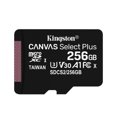 Kingston Memory Microsd 256GB XC Canvas