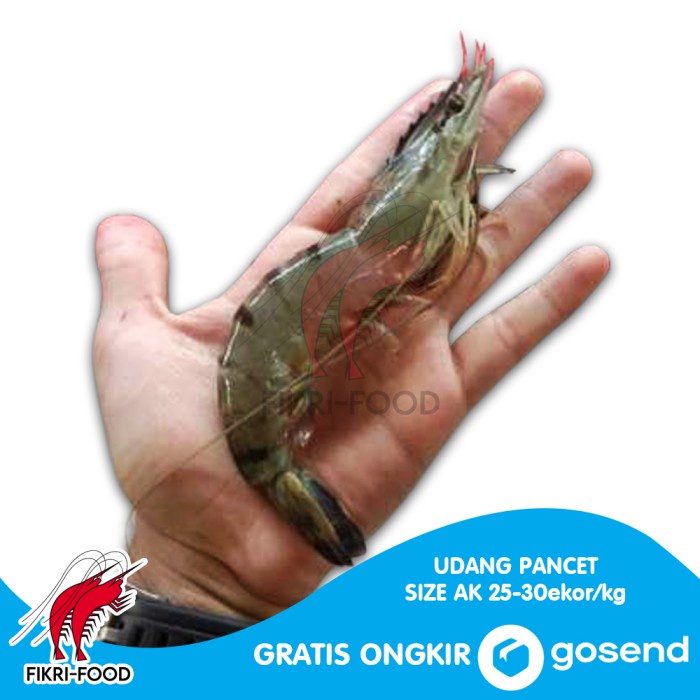 

Udang Pancet / Windu / Tiger AK 25-30 Segar