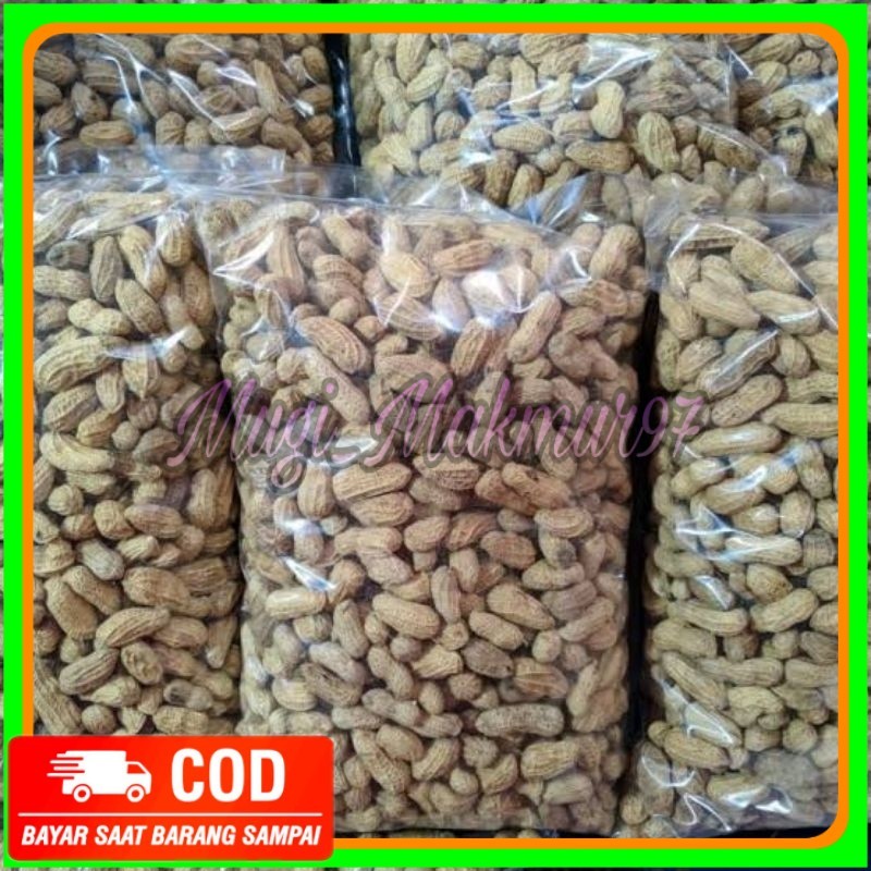 

1Kg Kacang Kulit Sangrai Madura Camilan Kacang sangrai Camilan Kacang Oven Kacang Di Sangrai