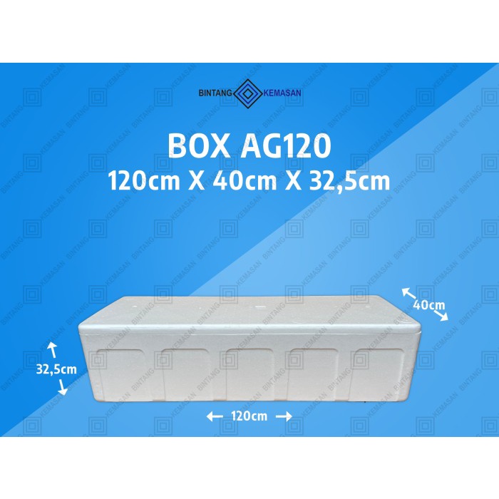Box Styrofoam AG120 120 x 40 x 32,5cm Box Foam