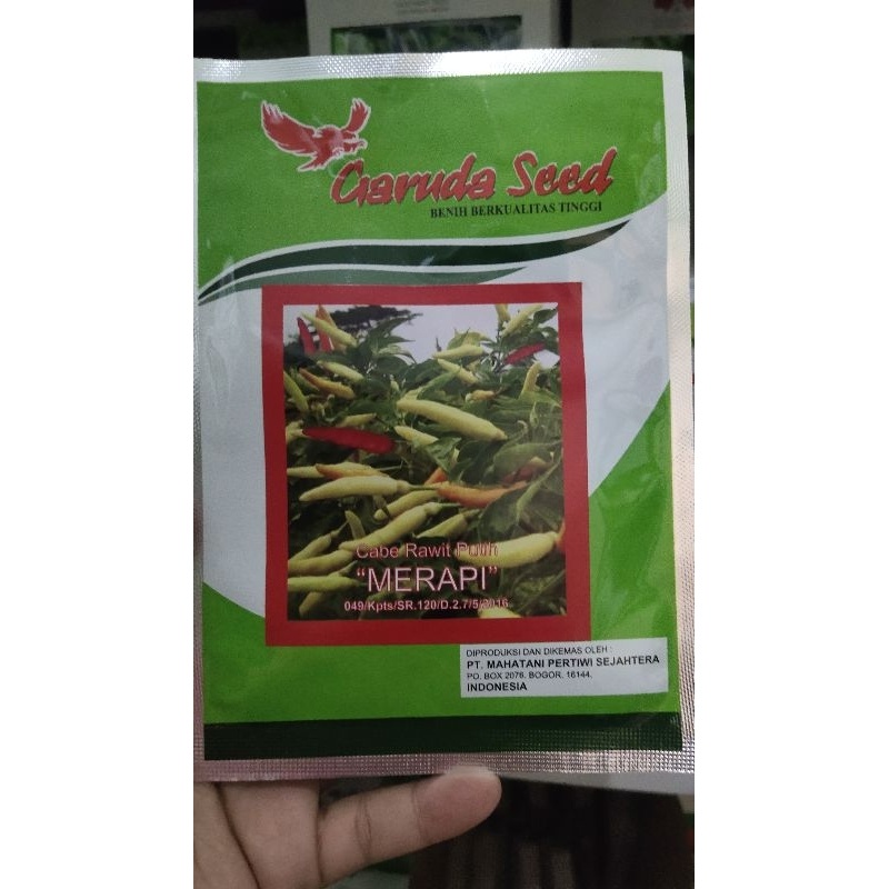 Benih cabe putih cabe MERAPI 10 gram cabe rawit putih merapi dari garuda seed cabe OP