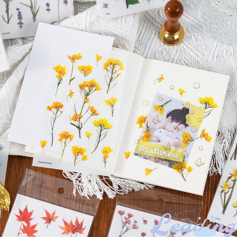 

Simulasi kreatif Korea Simulasi Kreatif Bunga Transparan Stiker PVC Dekorasi Piala Diary-Le