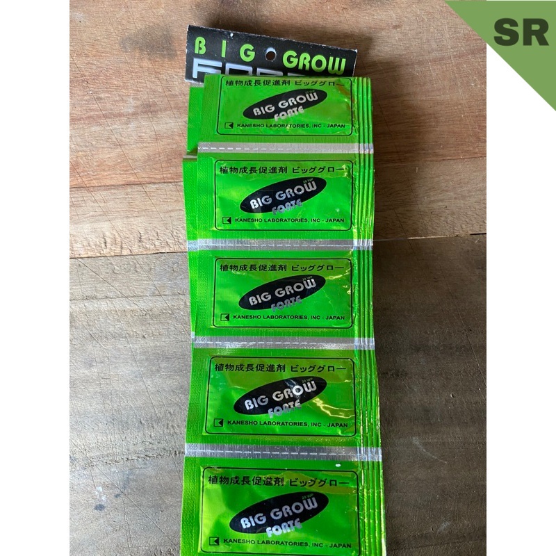 ZPT BIG GROW 1 sachet