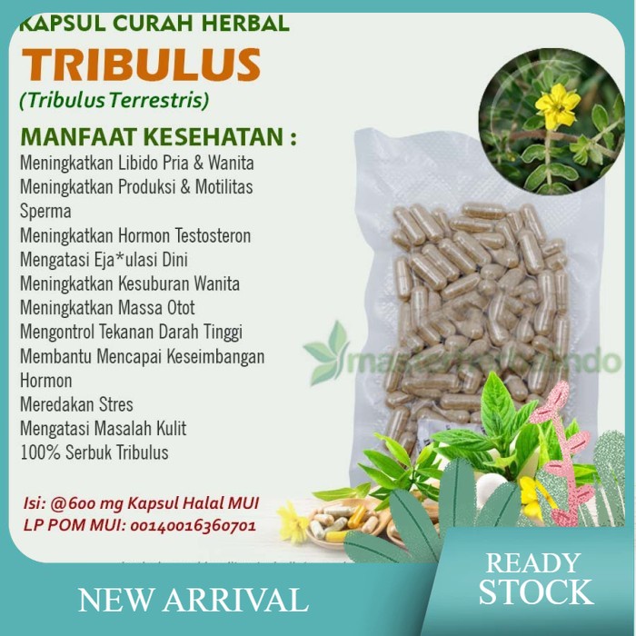 Kapsul Curah Herbal TRIBULUS Aphrodisiac Stamina Hipertensi 100 capsul