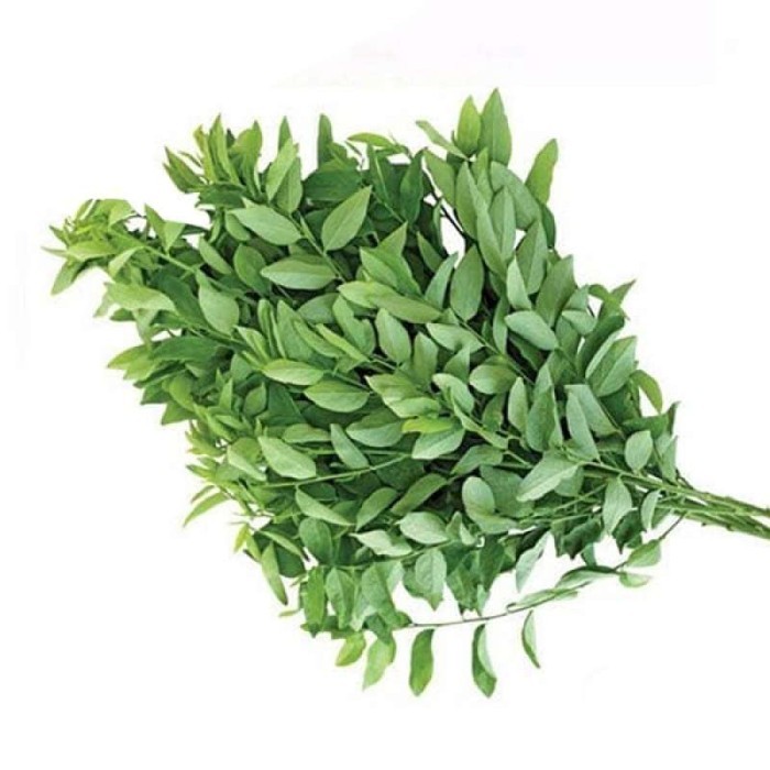 

DAUN KATUK SEGAR -SAYUR [1 Ikat, ±100g]