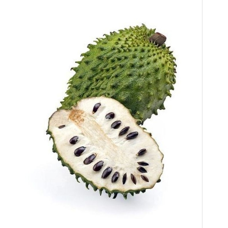 

buah sirsak
