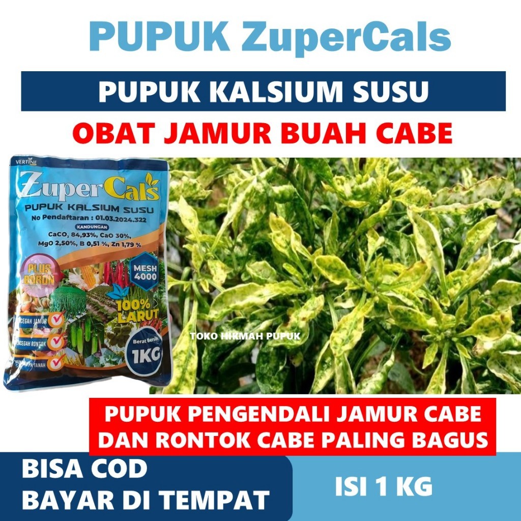 PROMO MURAH PUPUK ZUPER CALS 1 KG MENGATASI JAMUR CABE PALING BAGUS - Obat Kalsium Tanaman Cabe Pali