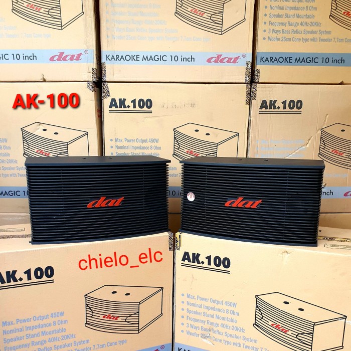 speaker karaoke DAT 10" AK100 / AK 100