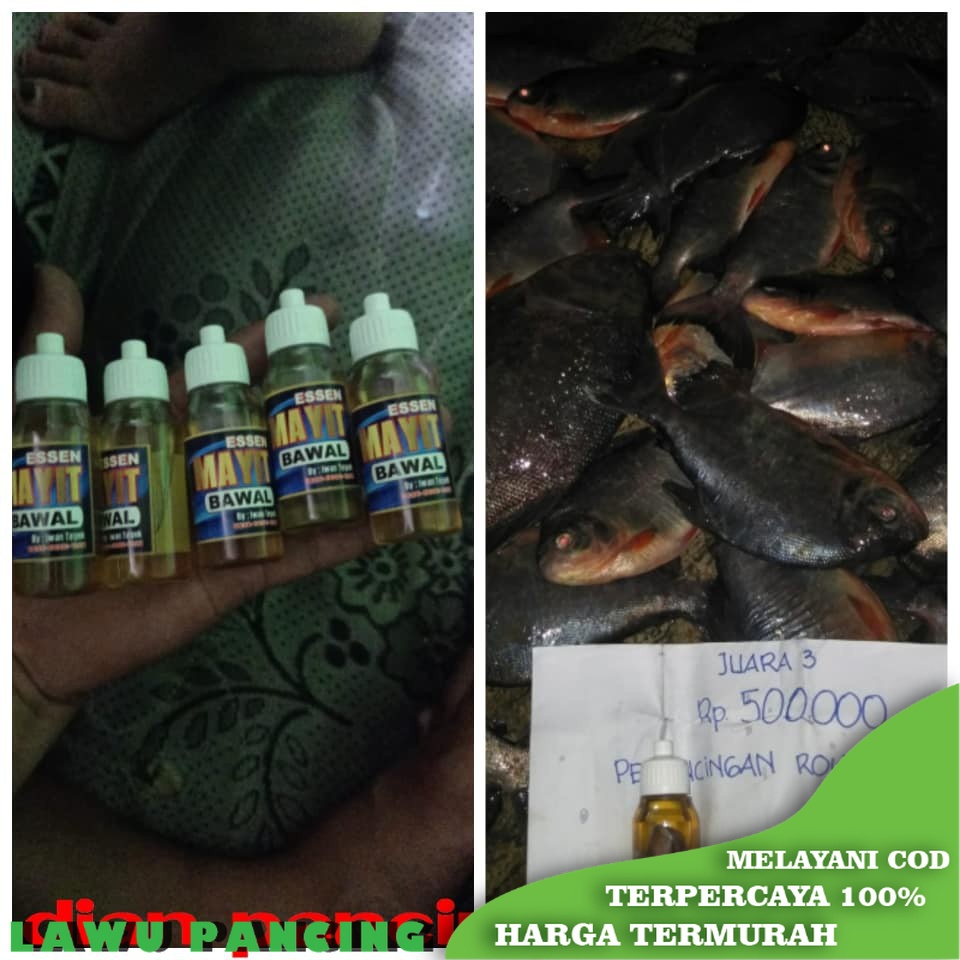 Essen Mayit Bawal amis