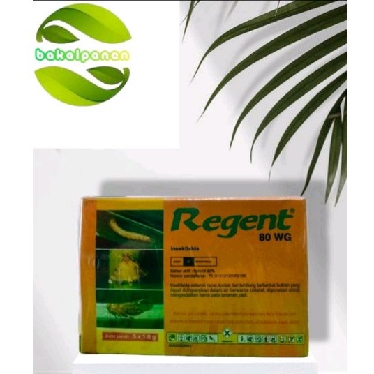 insektisida obat hama Regent sachet 1.6gram