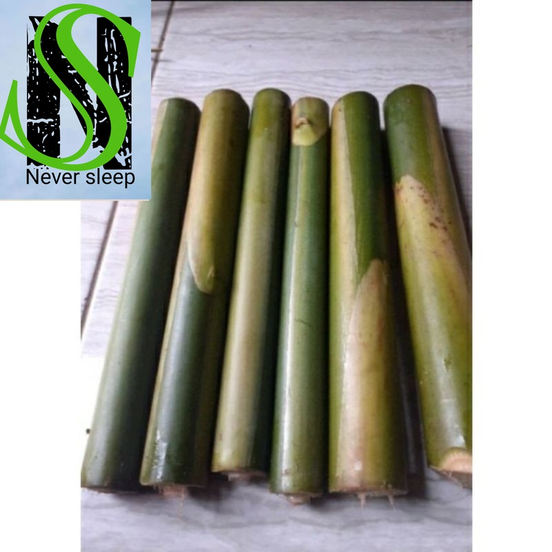 

Promo Batang Kecombrang batang laka batang honje sayuran segar bumbu masak 1kg