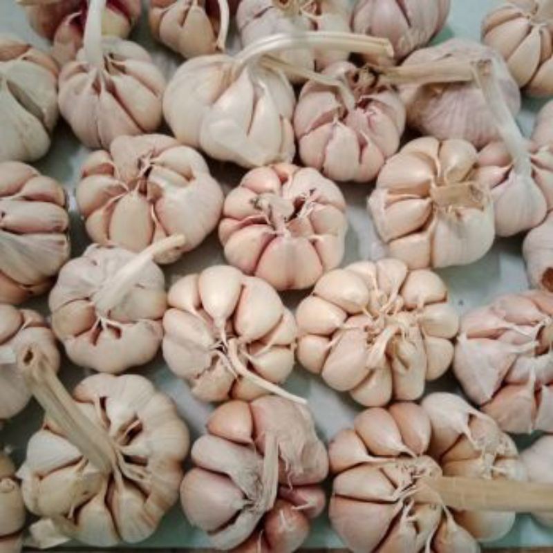 

cod//Bawang putih 1 kg / promo super murah meriah bersih kualitas terbaik