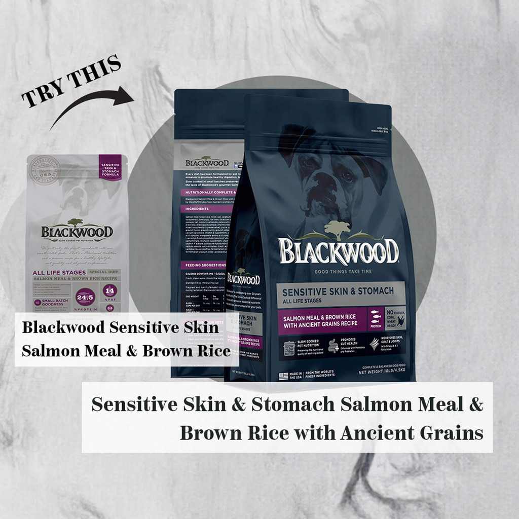 BLACKWOOD Zinpro Sensitive Skin Stomach Salmon Meal Brown Rice Ancient Grains 2.05 KG 4.5 LBS All Li