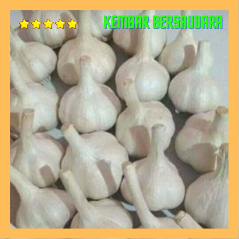 

bawang putih kating belum di kupas