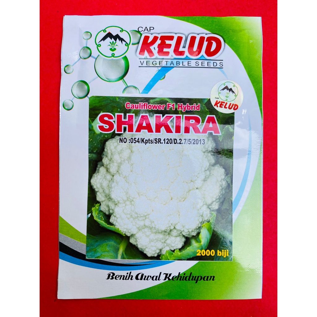 Benih SHAKIRA kemasan 10gr 
 Bunga Kol  dr Cap Kelud cocook untuk dataran rendah menengah