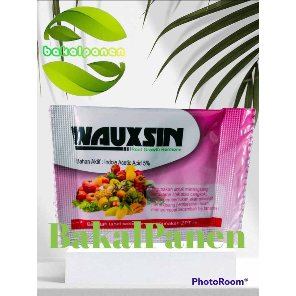 ZPT zat pengatur tumbuh perangsang akar cangkok & stek WAUXIN