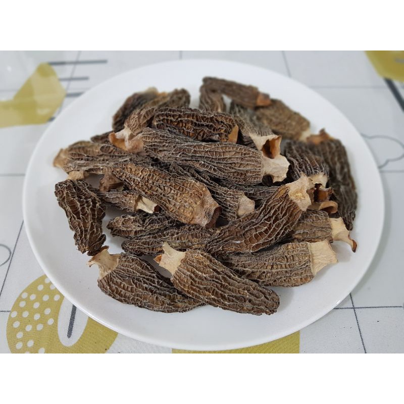 

Dried Morel Mushroom/Jamur Morel Kering/Yang Du Jun 羊肚菌 20gr