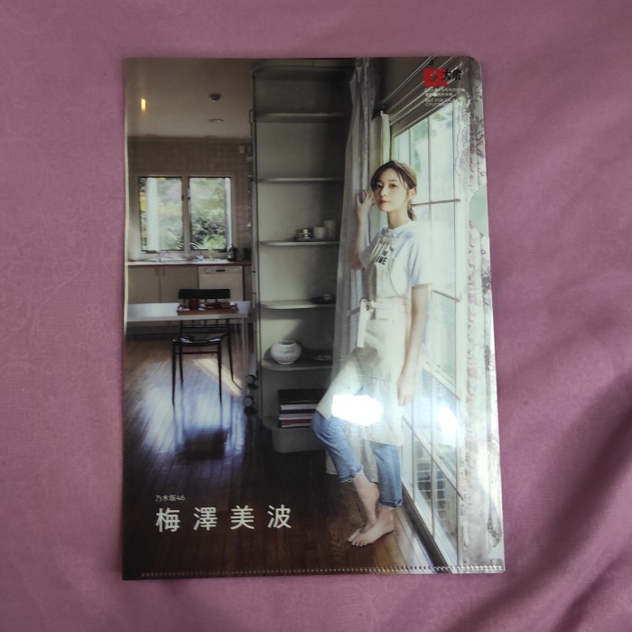 

Clear File Umezawa Minami [unsealed]