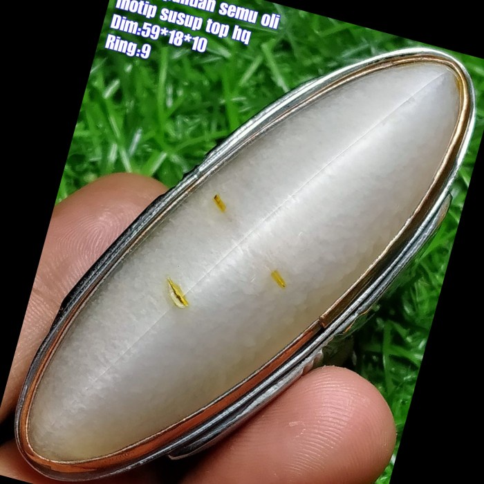 Cincin Batu Akik Pandan Semu Nanas Kapas Sutra Merah Lumut Oli Antik99