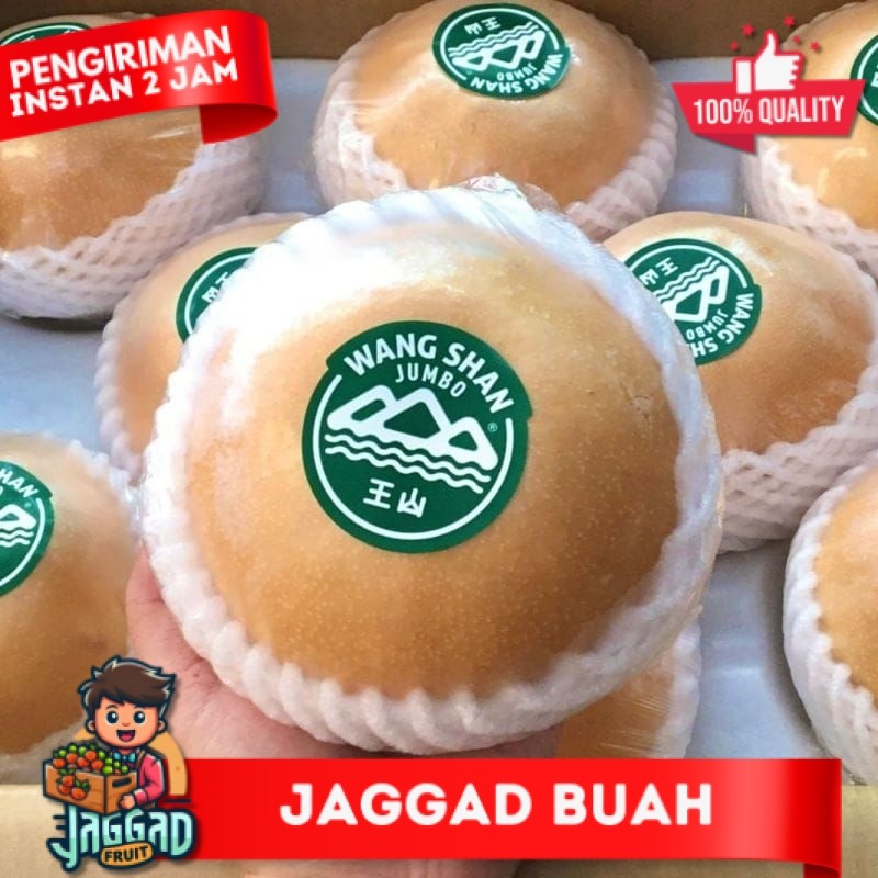 

pear singo|BUAH PEAR|PEAR SINGO|MANIS KRIUK|NURI FRUITS|BUAH SEGAR BANDUNG|BUAH SEGAR JAGGAD FRUIT