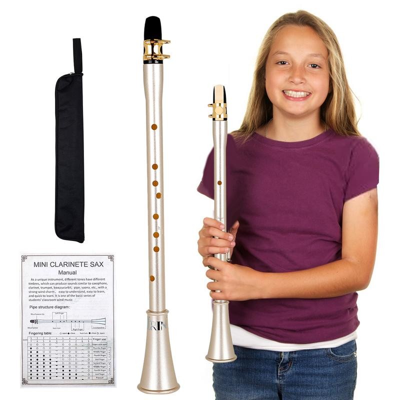 Pocket Alto Saxophone Kit, Mini Alto Sax Woodwind Instruments, Musical Instruments For Beginner Kids