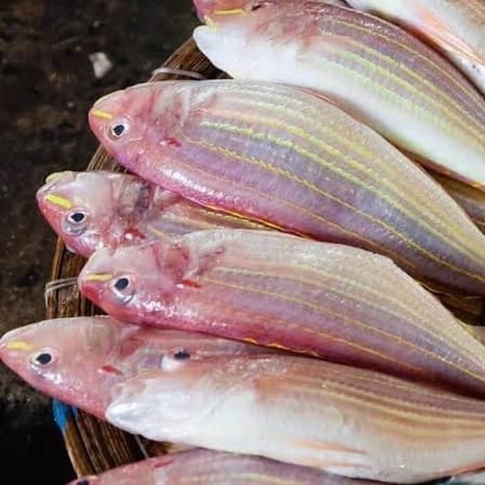 

ikan krisi segar 500 gram