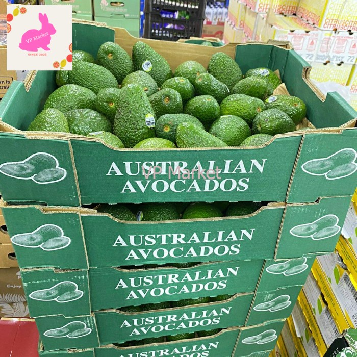 

Alpukat Australia Haas Avocado | Buah Alpukat Import Australia 600 grm