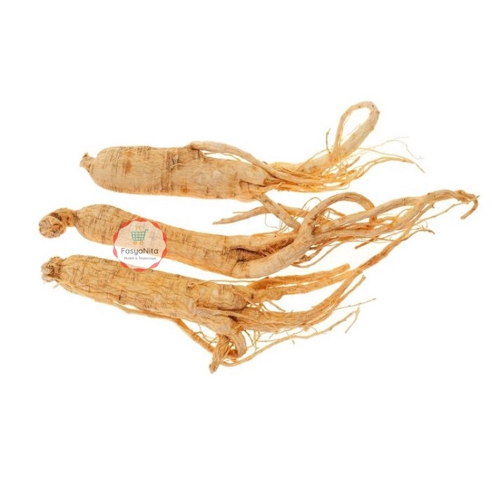 

AKAR GINSENG UTUH 25 GRAM PREMIUM GRADE - FasyAnita Mart Denpasar