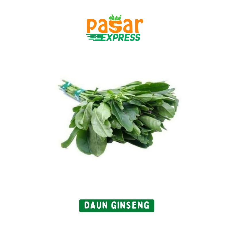 

Daun Ginseng Per Ikat / Produk Langka