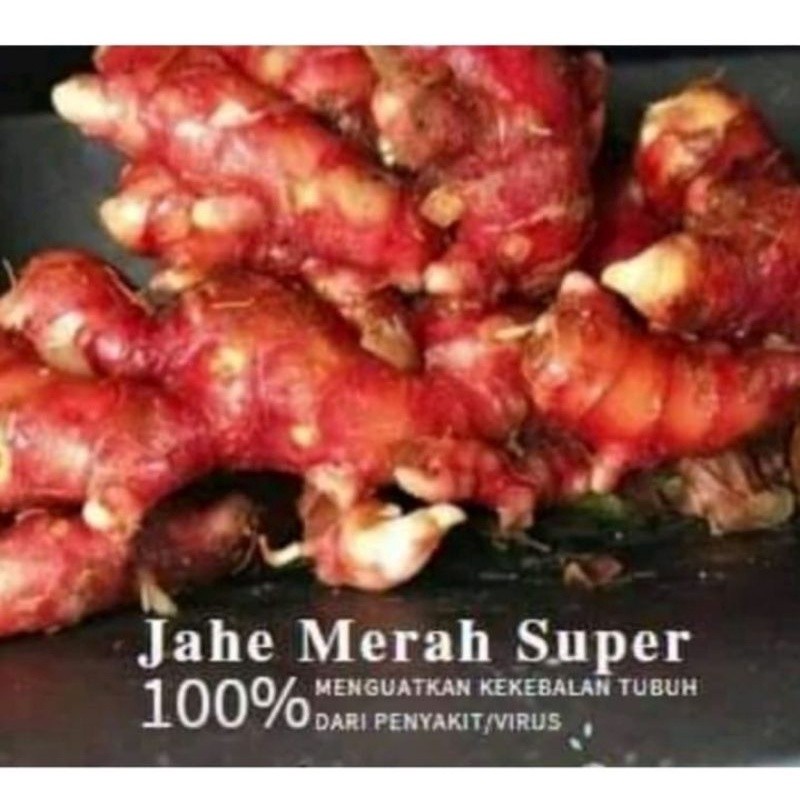 

1KG JAHE MERAH SUPER JAWI