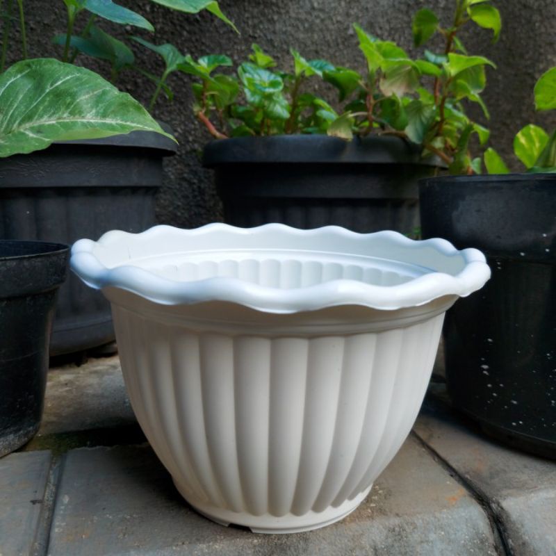 Pot Bunga Vanda 22 Putih / Pot Plastik / Pot Model Belimbing