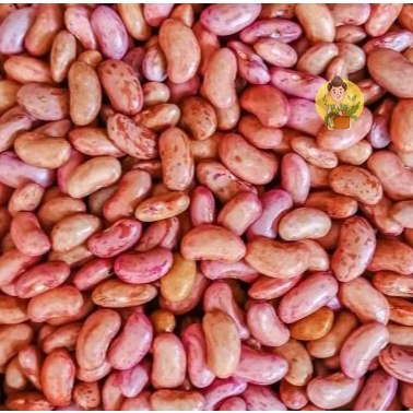 

Kacang Merah Fresh 200 gram - Sayur Segar Instan Malang