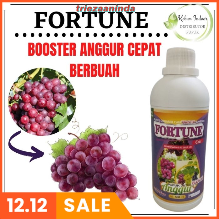 Pupuk Khusus Anggur Fase Vegetatif, Pupuk Booster Buah Anggur Cair