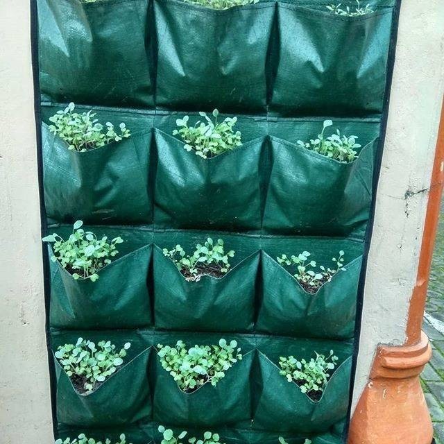Wall Planter Kantong Tanam Vertikal Vertical Garden 15 Kantong Warna Hijau