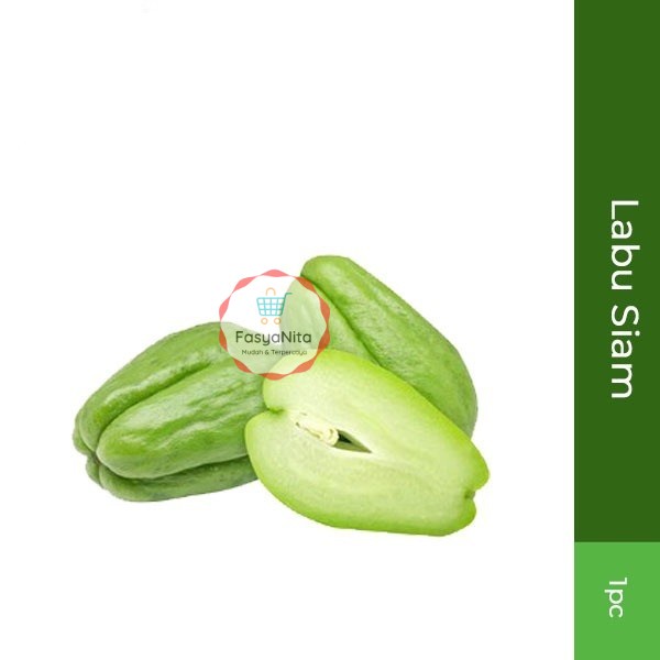 

Labu Siam 1Pcs - FasyAnita Mart Denpasar