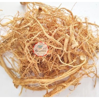 

Akar Ginseng / Ginseng Root - FasyAnita Mart Denpasar