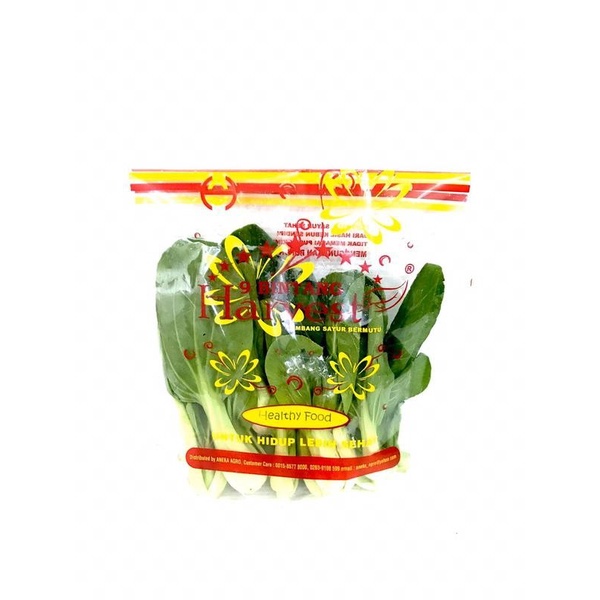

Harvest Pakcoi Hijau [ 200gr/ 1 Pack ]